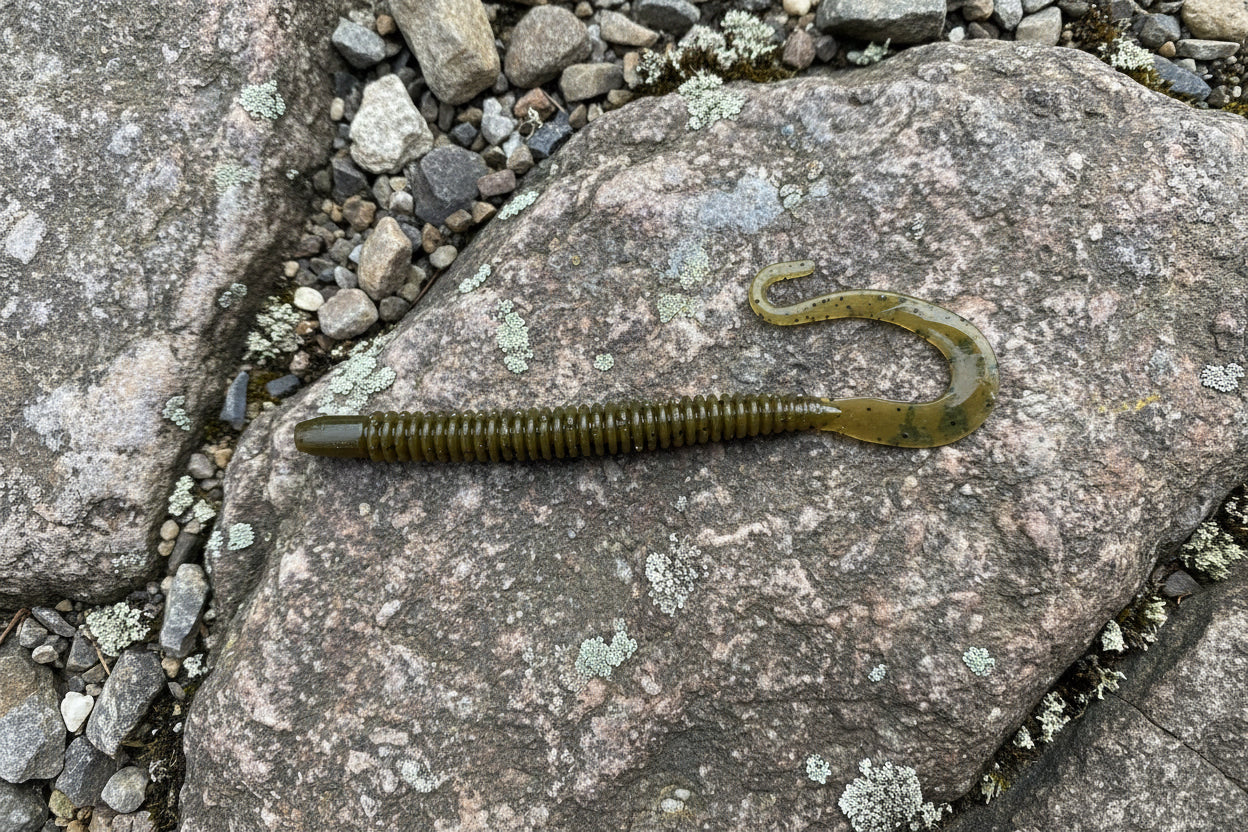 Ridge worms -  green pumpkin