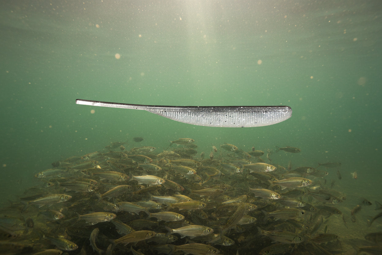 Drip Drop minnow - sugar shad