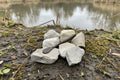 Beaver tail worm - mud puppy